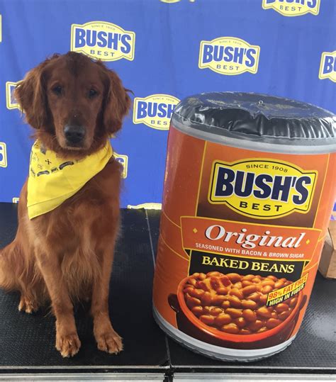 did the bush bean guy die|The Dog Who Played Duke In The Bushs Baked。